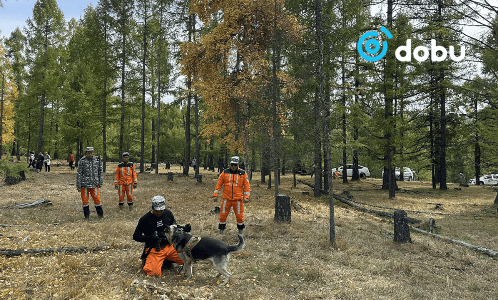 Хөвсгөлийн Тариалан суманд 46 настай эмэгтэй алга болж, эрэн хайж эхэллээ