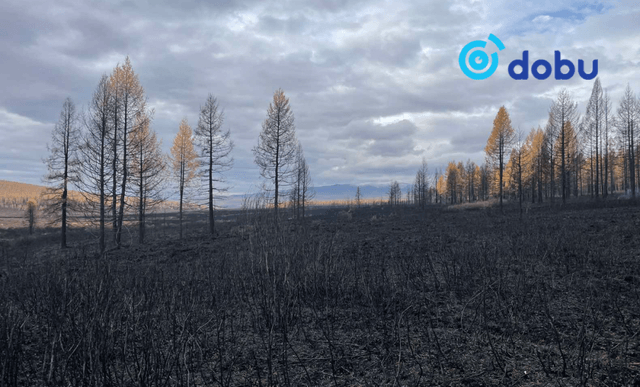 Хөвсгөл аймгийн Цаганнуур суманд гарсан түймрийг бүрэн унтраажээ