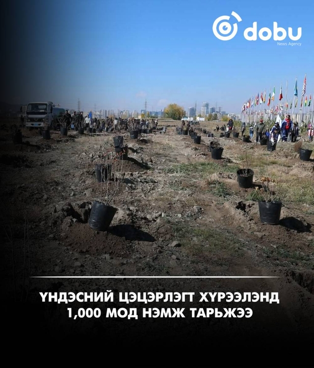 Үндэсний цэцэрлэгт хүрээлэнд 1,000 мод нэмж тарьжээ