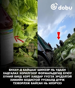 Хятадад байцааг химийн хорт бодист дүрж тээвэрлэж байсан нь илэрчээ