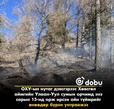 ОХУ-аас орж ирсэн ойн түймрийг бүрэн унтраалаа