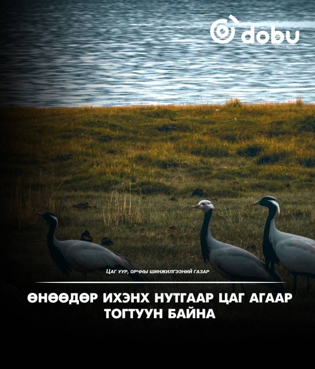 Өнөөдөр ихэнх нутгаар цаг агаар тогтуун байна