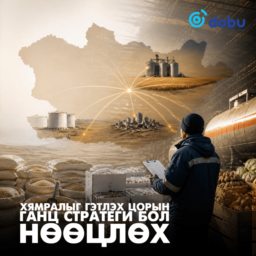 Хямралыг гэтлэх цорын ганц стратеги бол НӨӨЦЛӨХ