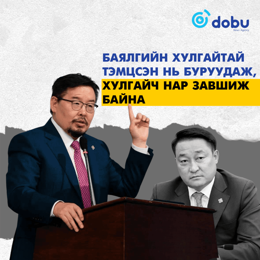 Баялгийн хулгайтай тэмцсэн нь буруудаж, хулгайч нар завшиж байна