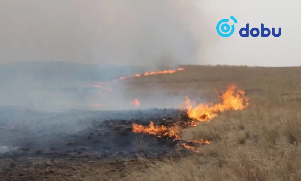 Хээрийн түймрүүдийг бүрэн унтраахаар ажиллаж байна