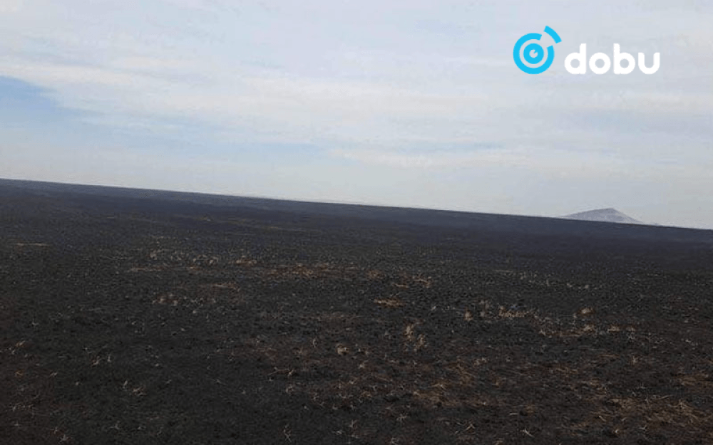 Нийт нутгаар хуурайшилтын түвшин нэмэгджээ