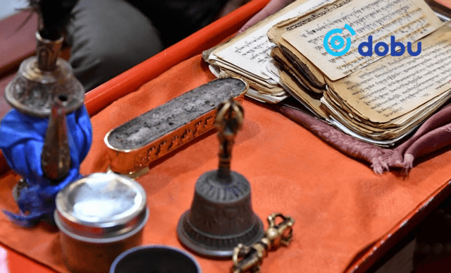 Цахимаар засал хийлгүүлэхээр 72 сая төгрөг шилжүүлээд залилуулжээ