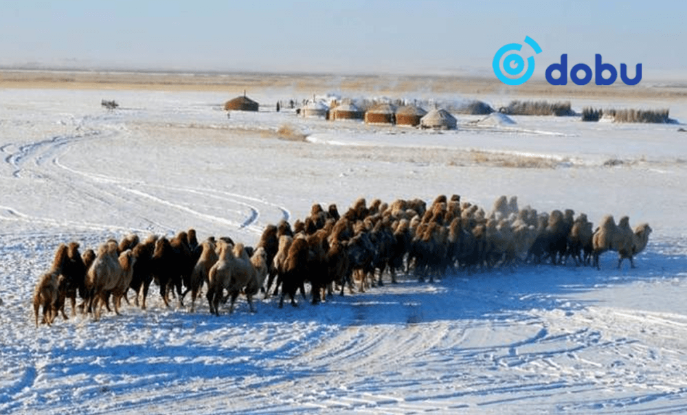 Энэ сарын 12-ноос нийт нутгаар хүйтний эрч чангарна