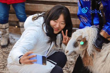 Энэ онд Монгол улсад нийт 846.103 жуулчин иржээ