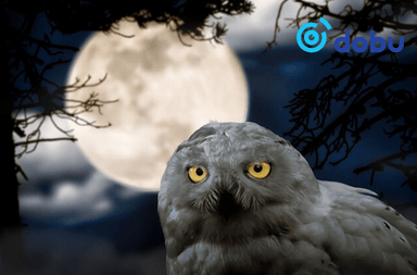 Урт наслахын тулд та "ШАР ШУВУУ" амьдралын хэв маягаас салах хэрэгтэй