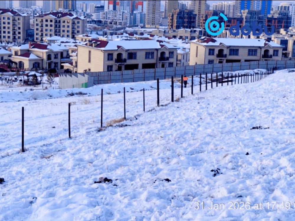 Амьтдад эрсдэл учруулсан хашааг албадан буулгажээ