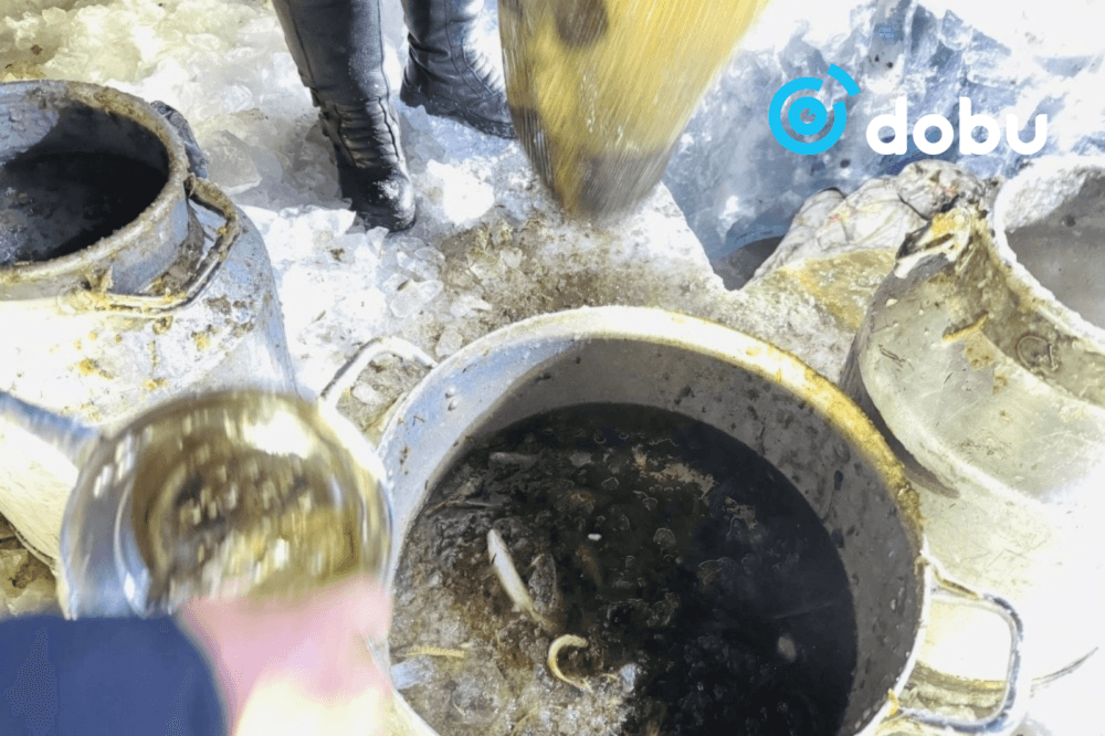 Завханы эрээлж, Монгол хадран загасыг хамгаалж, нүүлгэн шилжүүлжээ