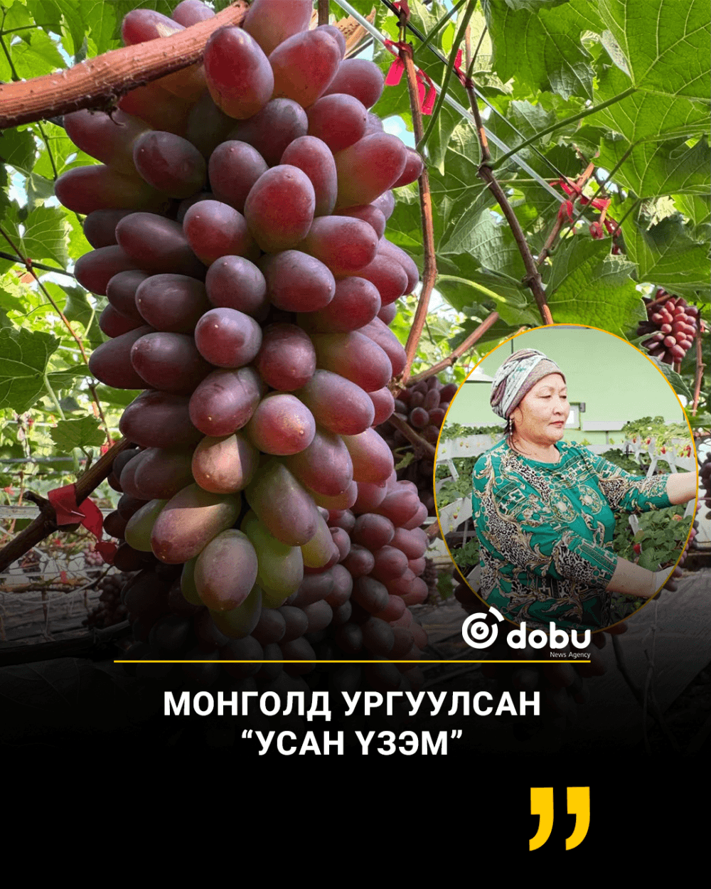 Монголд ургуулсан “УСАН ҮЗЭМ”