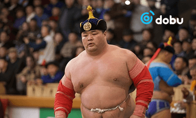 Наурызын барилдаанд Улсын арслан Э.Оюунболд тэргүүтэй 256 бөх зодоглоно