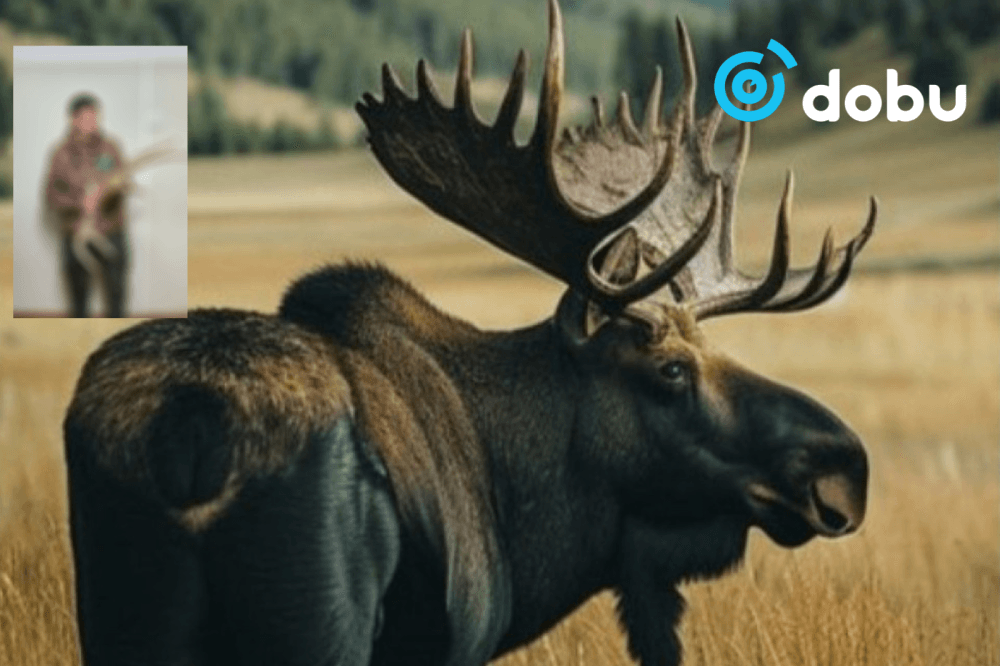 Шивэр хандгай агнасан иргэнд 2 жилийн хорих ял оноолоо