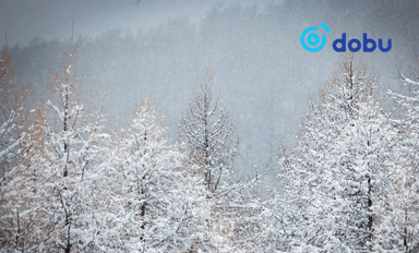 Ихэнх нутгаар цас, Дорноговь, Сүхбаатарын нутгаар бороо орж байна