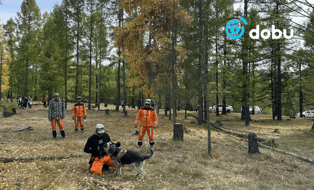 Хөвсгөлийн Тариалан суманд 46 настай эмэгтэй алга болж, эрэн хайж эхэллээ