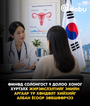 Солонгост жирэмслэлтийг эмийн аргаар зогсоохыг албан ёсоор зөвшөөрчээ