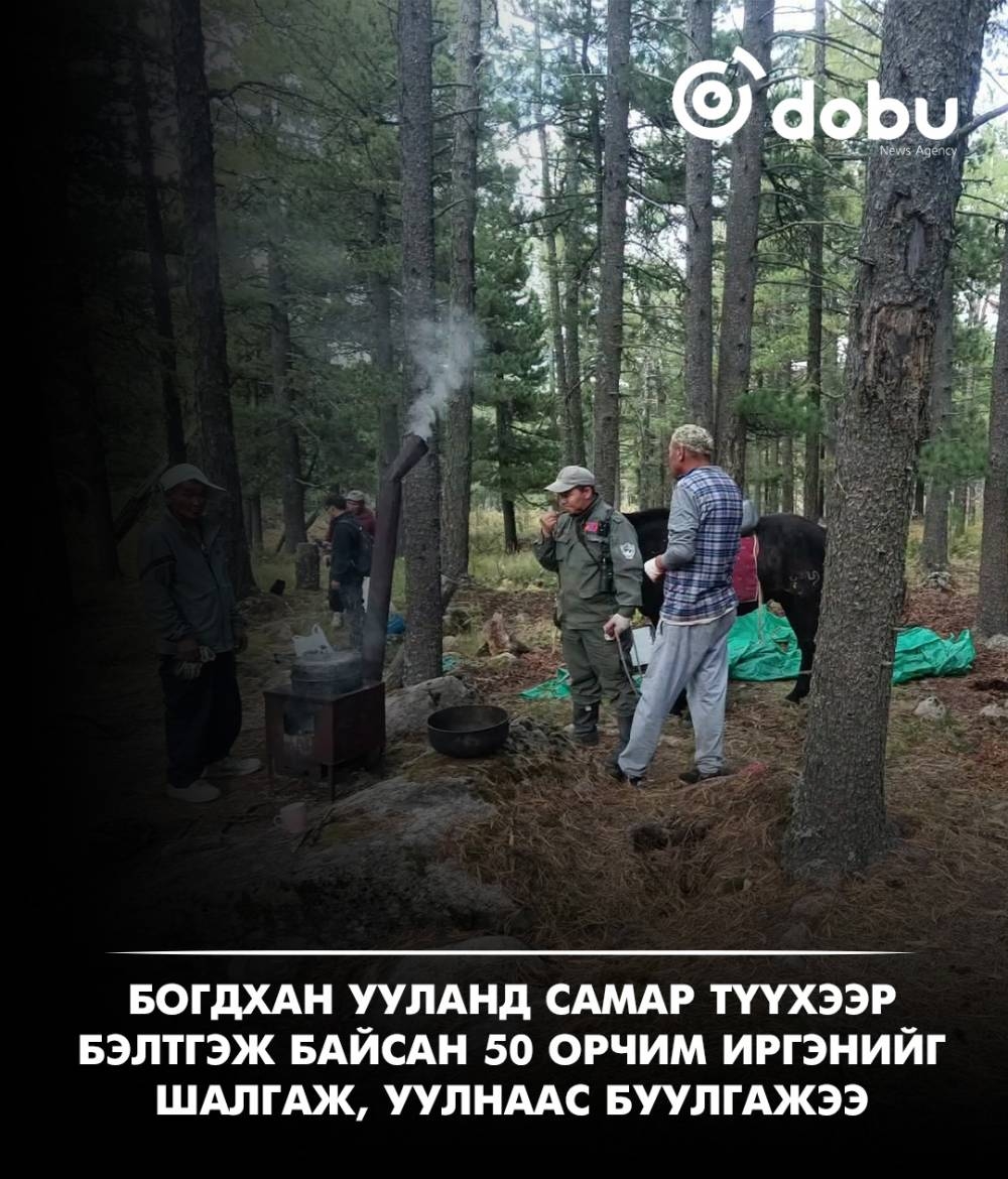 Богдхан ууланд самар түүж байсан 50 орчим иргэнийг шалгаж, уулнаас буулгажээ